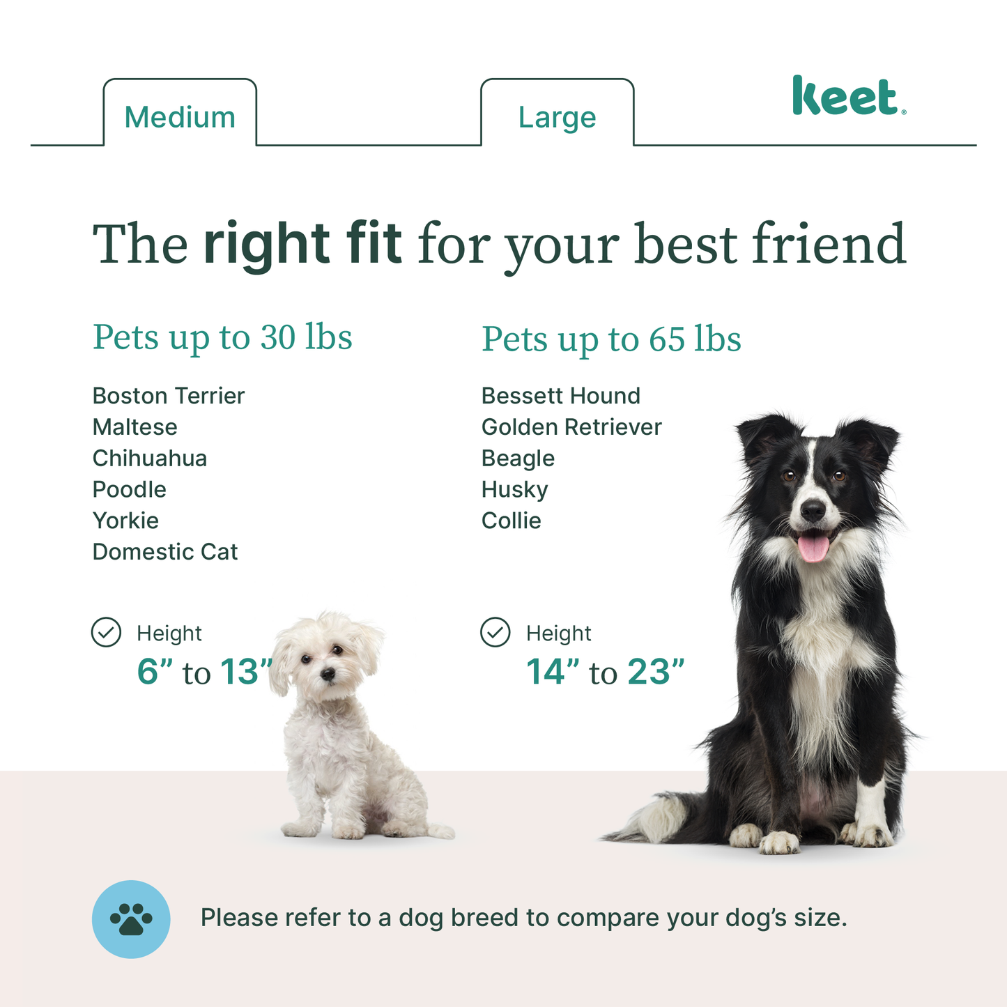 Personalized Fluffy Pet Bed