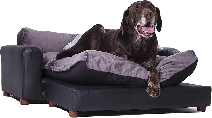 Golden retriever happily lounging on a brown dog sofa.