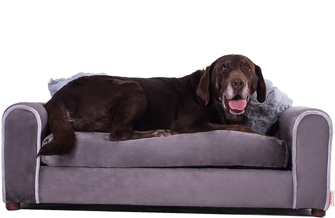 Golden retriever happily lounging on a brown dog sofa.